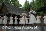 Mezinárodní armádní festival Rožnovská Valaška